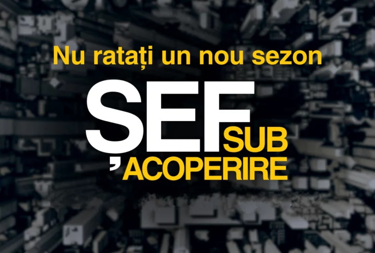 sef sub acoperire sezonul 3 integral 2023 reluare