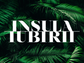 insula iubirii casting 2026