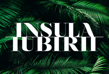 insula iubirii casting 2026