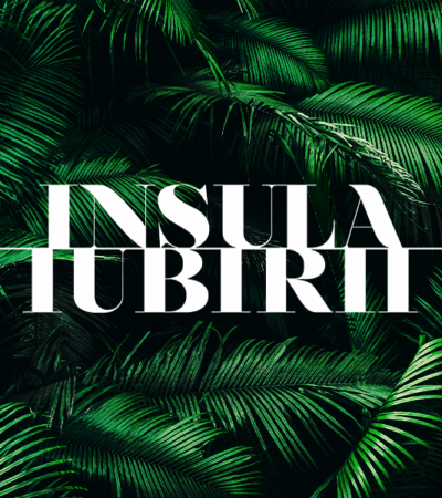 insula iubirii casting 2026