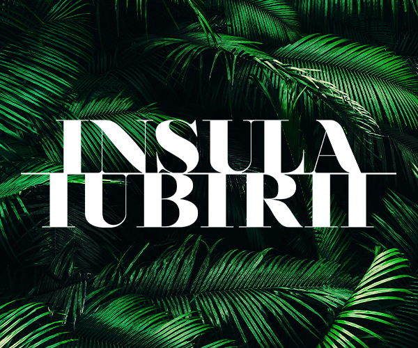 insula iubirii casting 2026