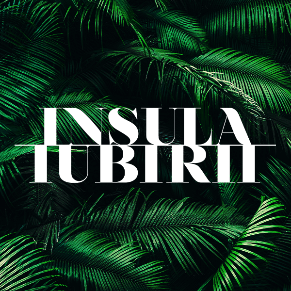 insula iubirii casting 2026